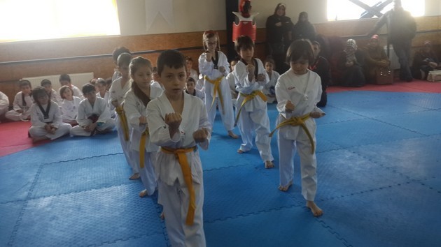 Taekwondo'da terfi zamanı