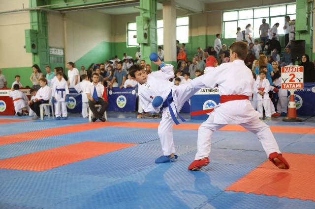 Sapanca'da 19 Mayıs Karate Coşkusu