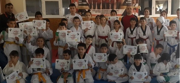 Taekwondo'da terfi zamanı