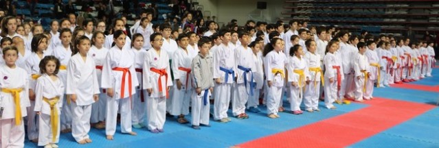 Çanakkale Şehitlerini Anma Karate Turnuvası sona erdi