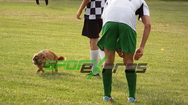 Lider Cihadiyespor , Mekecespor’u  geçti 1-0