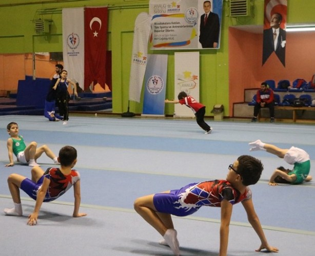 Cimnastik’te ödüller sahibini buldu