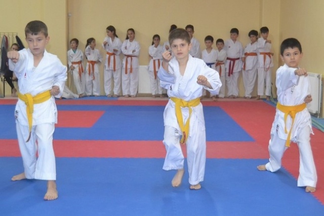 Erenlerde Karate Coşkusu