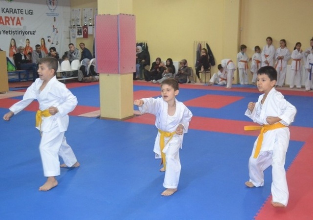 Erenlerde Karate Coşkusu