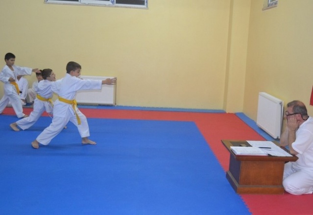 Erenlerde Karate Coşkusu