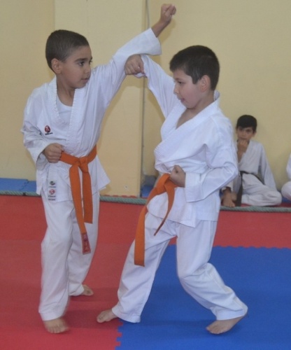 Erenlerde Karate Coşkusu