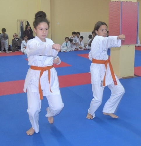 Erenlerde Karate Coşkusu