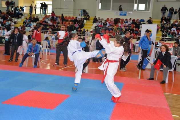 Gaffar Okkan Karate Turnuvası (2016)