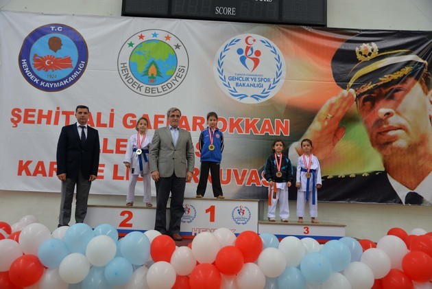 Gaffar Okkan Karate Turnuvası (2016)