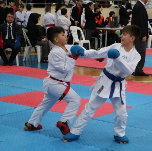 Karateciler Gaffar Okkan Turnuvası'nda buluştu