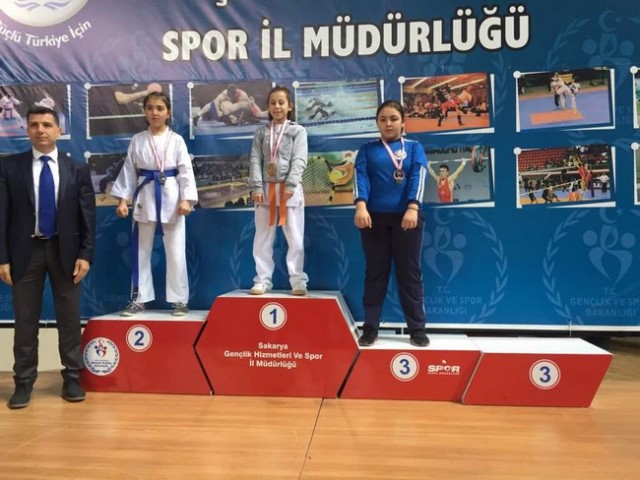 Geyveli Karatecilerden 35 madalya