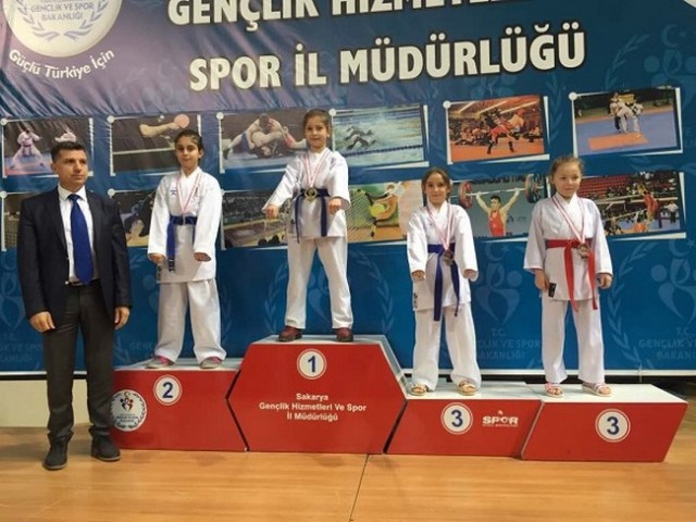 Geyveli Karatecilerden 35 madalya