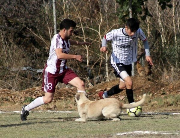 Hayreddinspor-Geyvespor:0-0