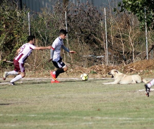Hayreddinspor-Geyvespor:0-0