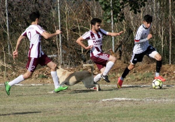 Hayreddinspor-Geyvespor:0-0