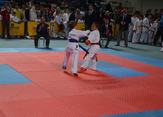 İlçeler Arası Karate Turnuvası Düzenlendi