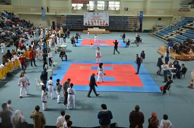 İlçeler Arası Karate Turnuvası Düzenlendi