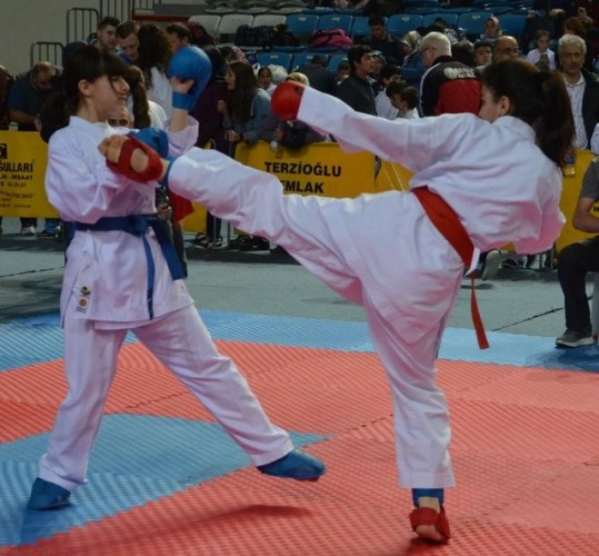 İlçeler Arası Karate Turnuvası Düzenlendi