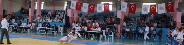 İpsiz Recep Judo Turnuvası sona erdi