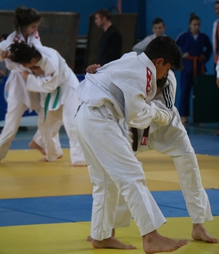 İpsiz Recep Judo Turnuvası sona erdi