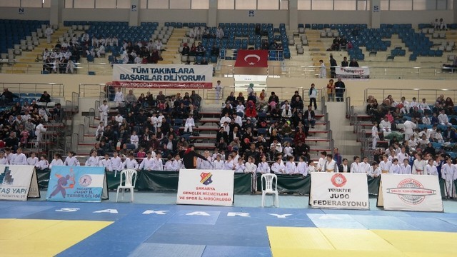 ﻿Sakarya'da Judo Şöleni