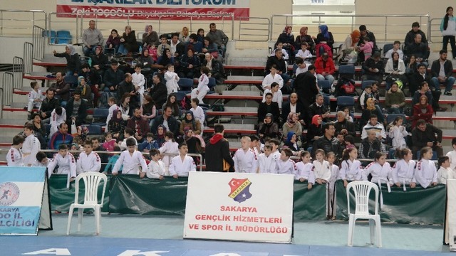 ﻿Sakarya'da Judo Şöleni