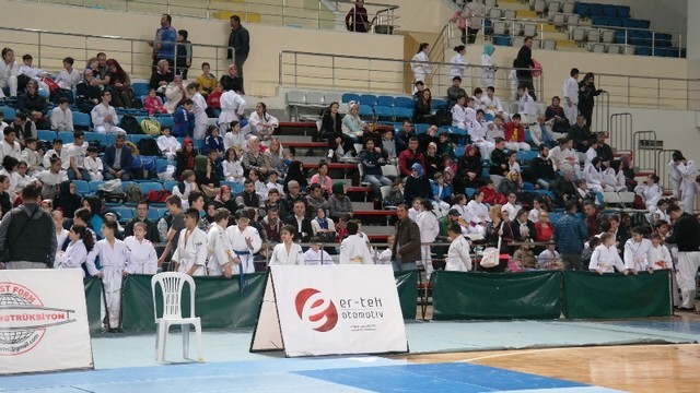 ﻿Sakarya'da Judo Şöleni
