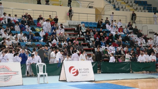 ﻿Sakarya'da Judo Şöleni