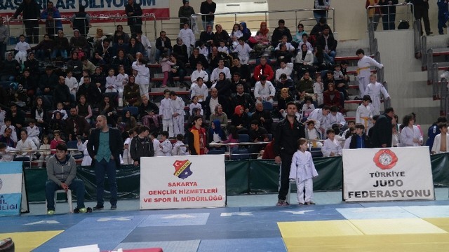 ﻿Sakarya'da Judo Şöleni