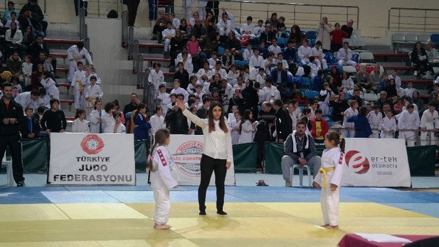﻿Sakarya'da Judo Şöleni