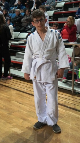 ﻿Sakarya'da Judo Şöleni