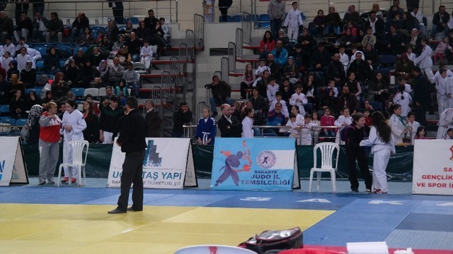﻿Sakarya'da Judo Şöleni