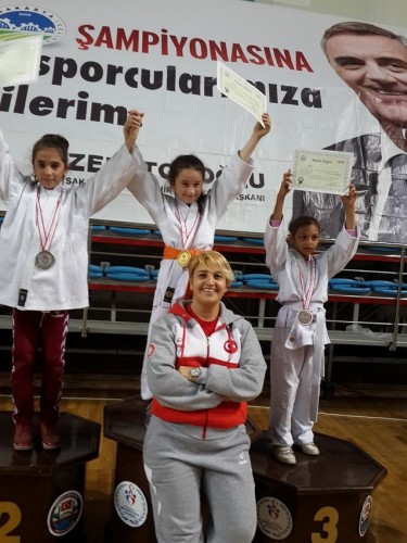 ﻿Sakarya'da Judo Şöleni