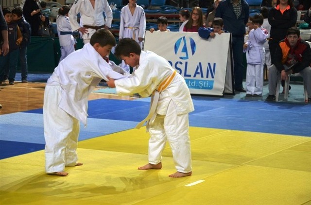 ﻿Sakarya'da Judo Şöleni