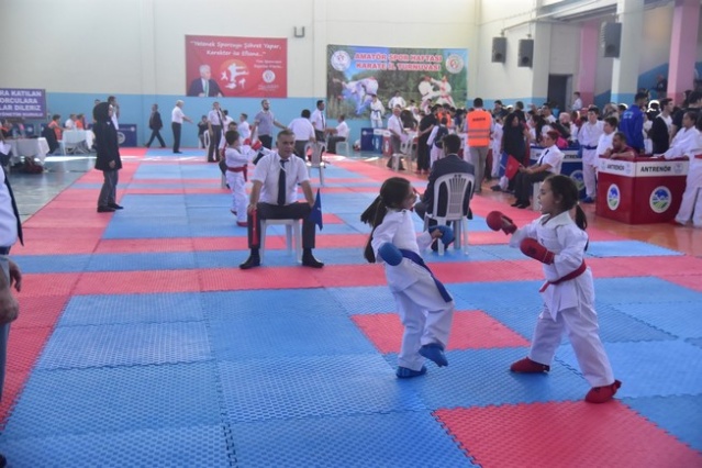 Karasu'da Karate Şöleni