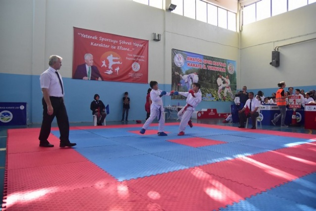 Karasu'da Karate Şöleni