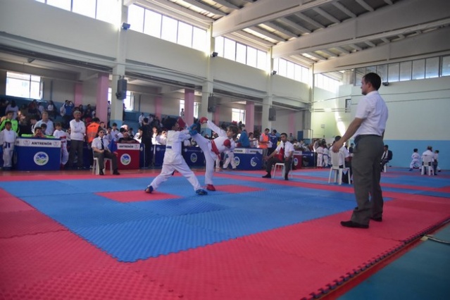 Karasu'da Karate Şöleni