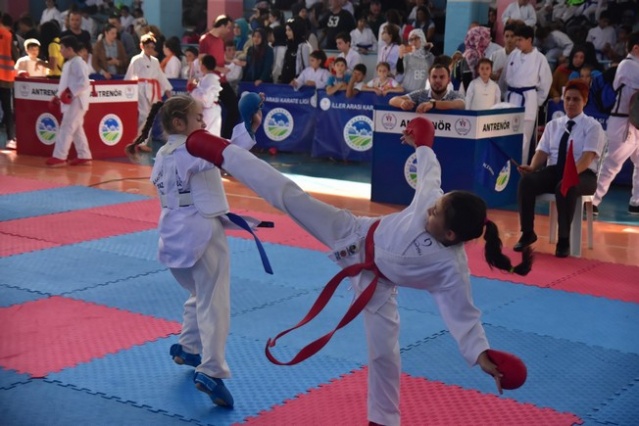 Karasu'da Karate Şöleni