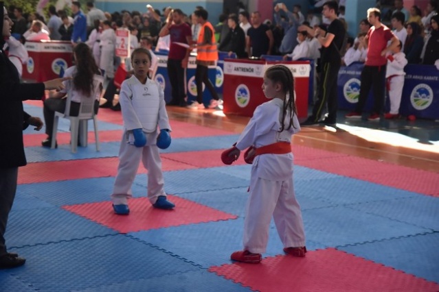 Karasu'da Karate Şöleni