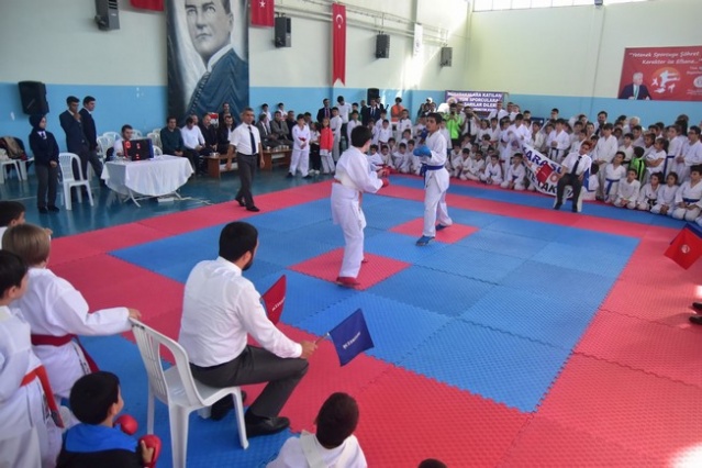Karasu'da Karate Şöleni