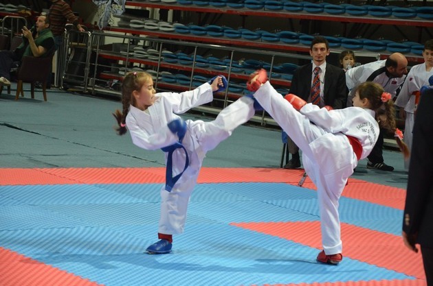 İller arası karate ligi