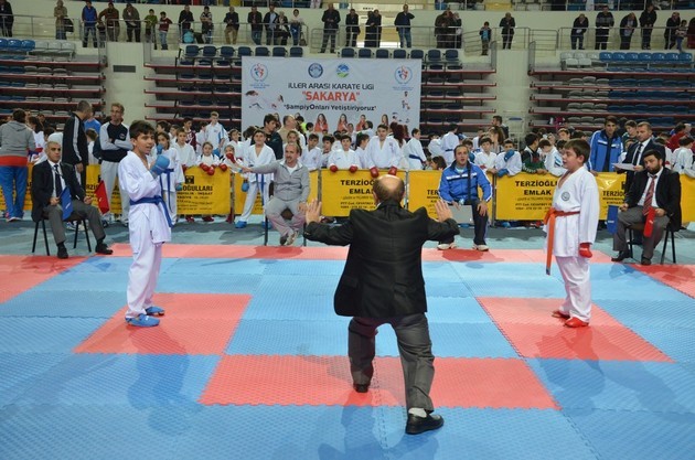 İller arası karate ligi