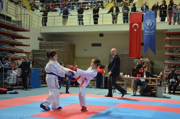 İller arası karate ligi