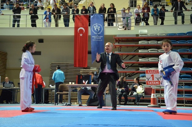 İller arası karate ligi