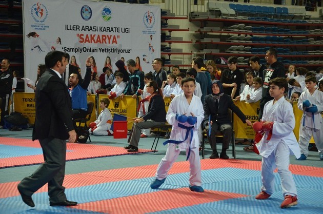 İller arası karate ligi