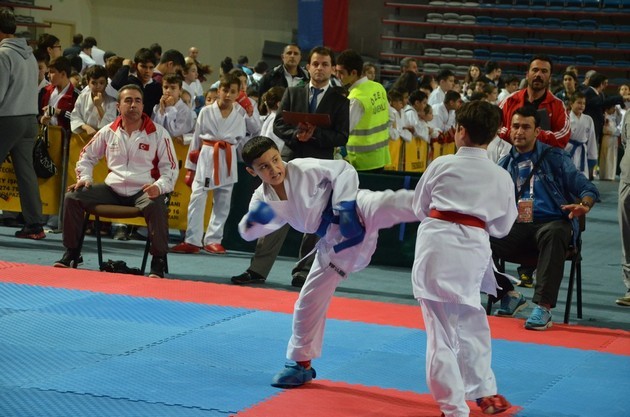İller arası karate ligi