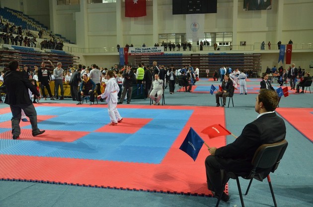 İller arası karate ligi