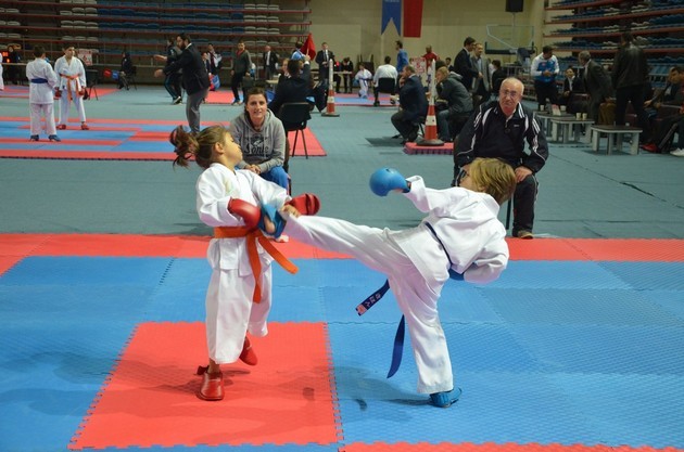 İller arası karate ligi