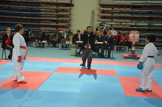 İller arası karate ligi