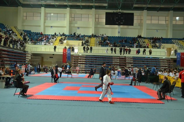 İller arası karate ligi